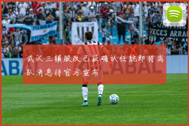 武汉三镇股改已获确认任航即将离队消息待官方宣布
