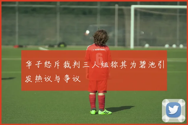 华子怒斥裁判三人组称其为碧池引发热议与争议